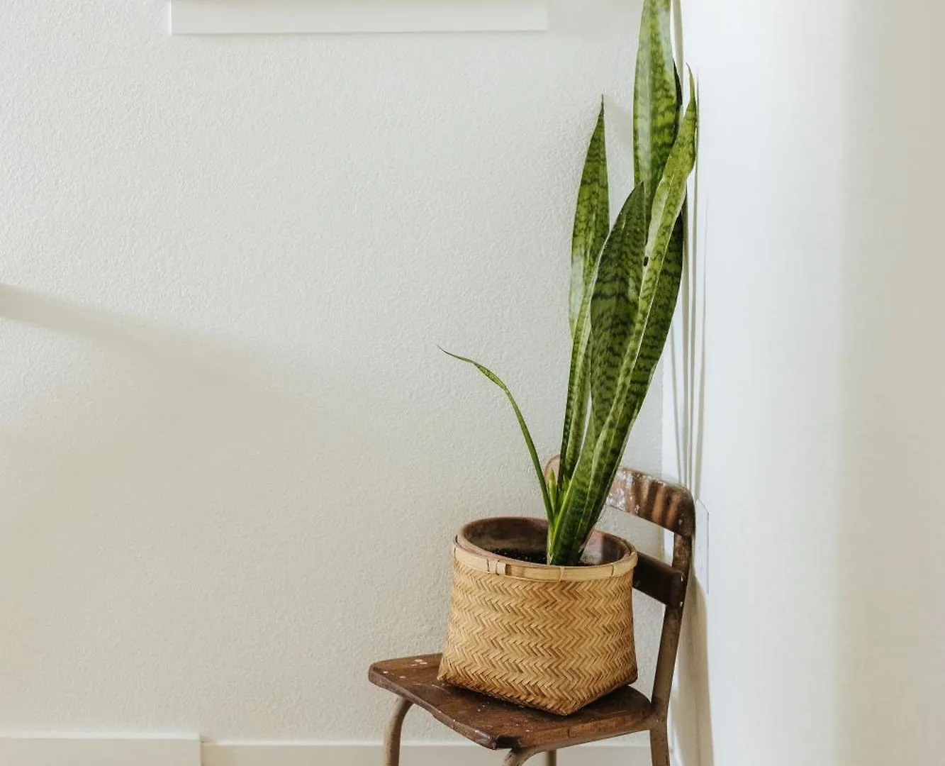 Earthy Beach House Kailua-Kona United States
